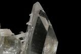Clear Quartz Crystal Cluster - Brazil #229560-2
